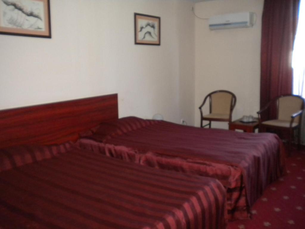 Hotel Ary Kaloşvar Oda fotoğraf